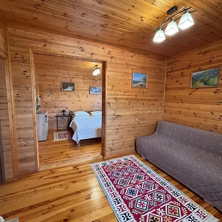 Guest house в Yaremche